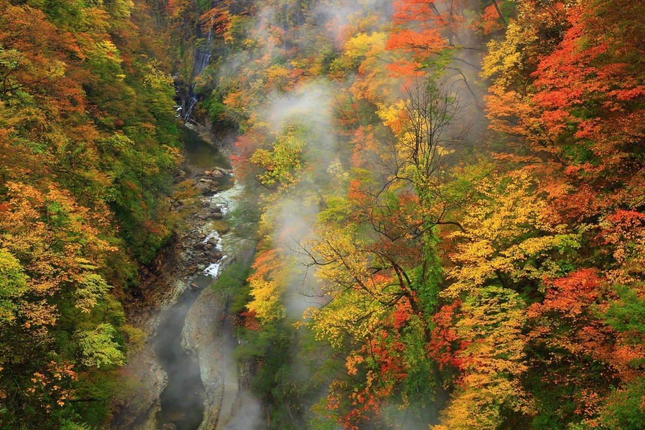 🏞️ 오야스 협곡(오야스쿄) 이미지 3